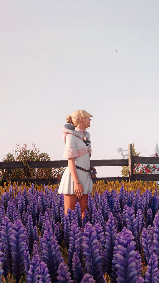 a realm reborn