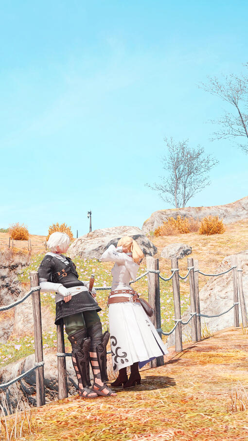 a realm reborn a realm reborn