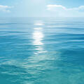 the ocean
