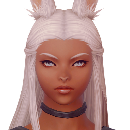 PJTRA the oath keeper